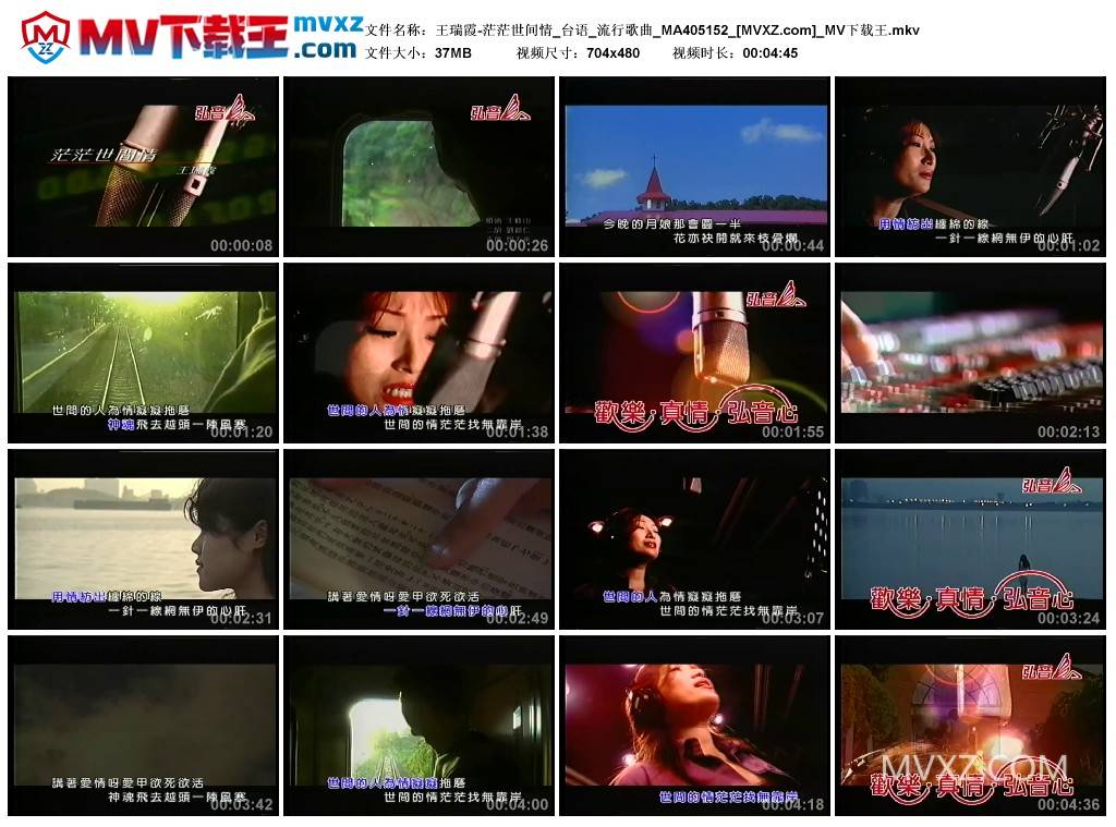 王瑞霞-茫茫世间情_台语_流行歌曲_MA405152